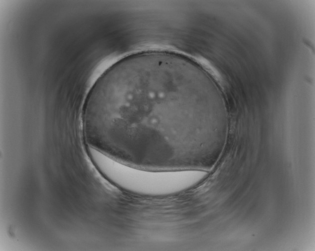 X0000099231287200805011129