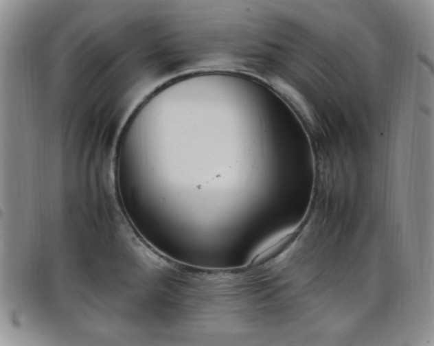 X0000099231288200805011129