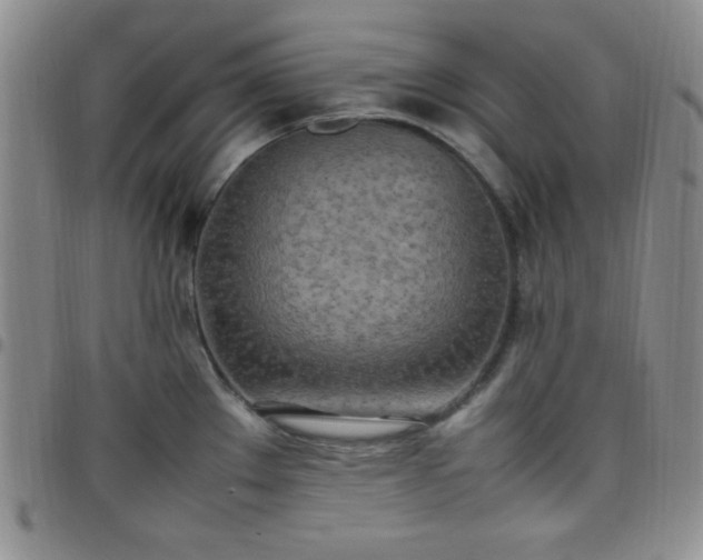 X0000099231289200805011129