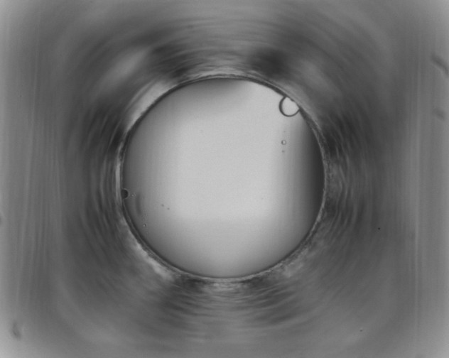 X0000099231290200805011129