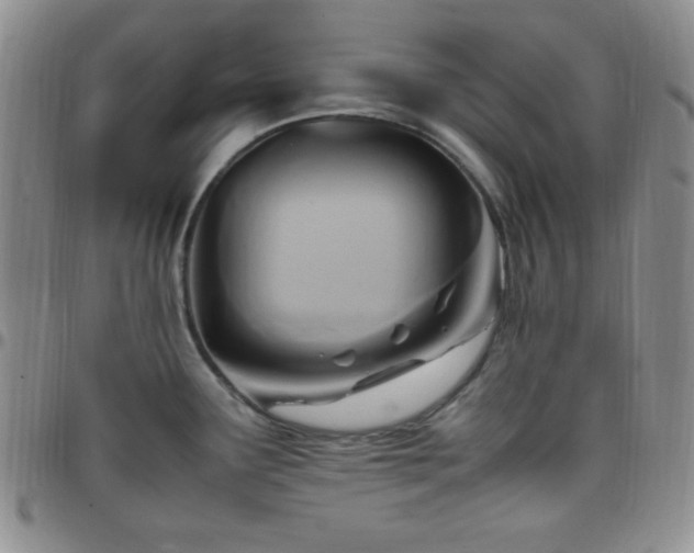 X0000099231291200805011129