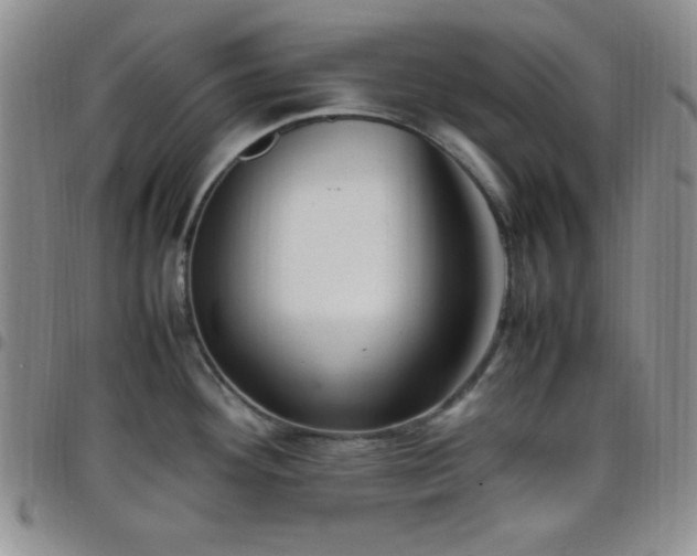 X0000099231292200805011129