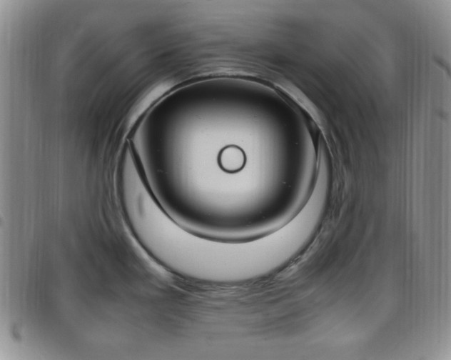 X0000099231293200805011129