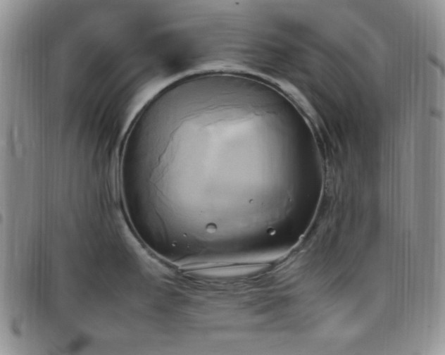 X0000099231295200805011129