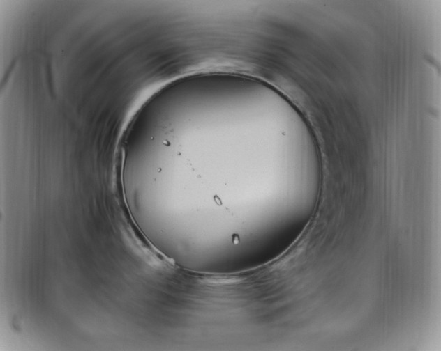 X0000099231296200805011129