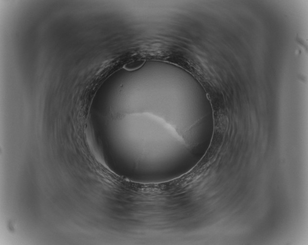 X0000099231297200805011128