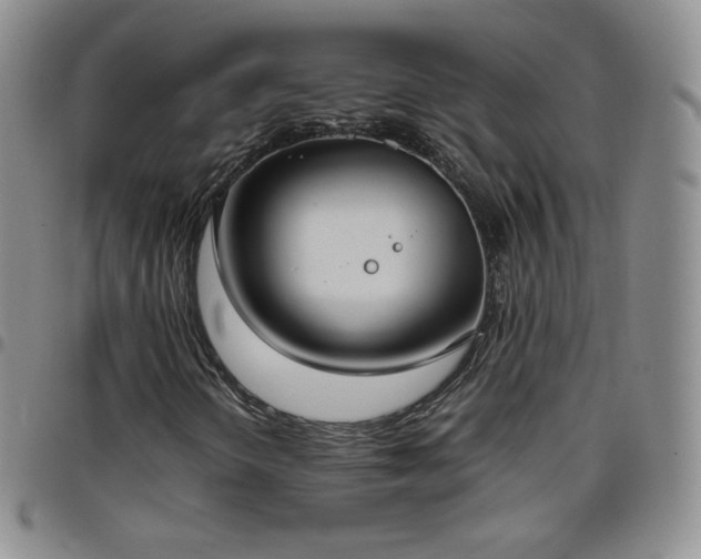 X0000099231298200805011128