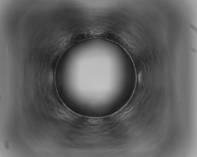 X0000099231299200805011128