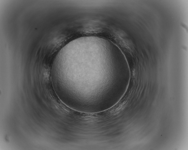 X0000099231300200805011128