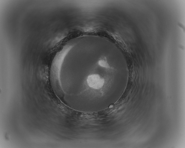 X0000099231301200805011128