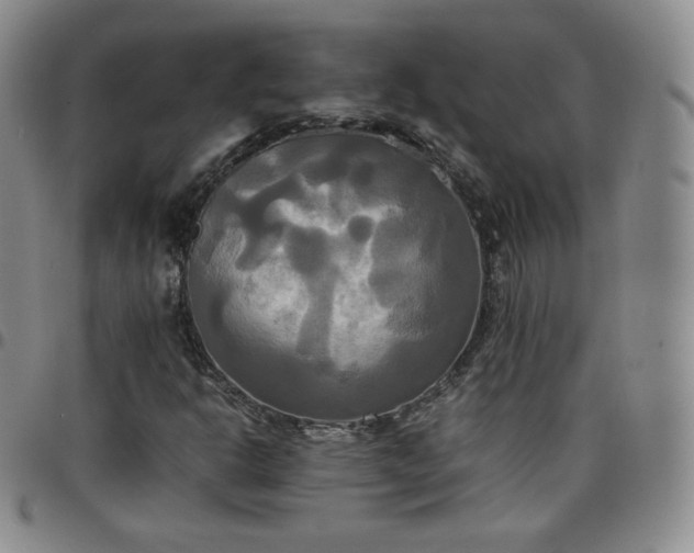 X0000099231302200805011128