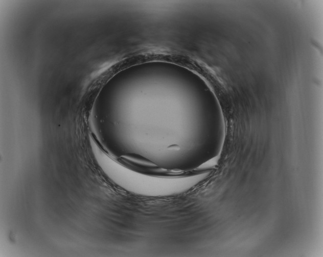 X0000099231303200805011128