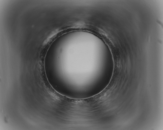 X0000099231304200805011128