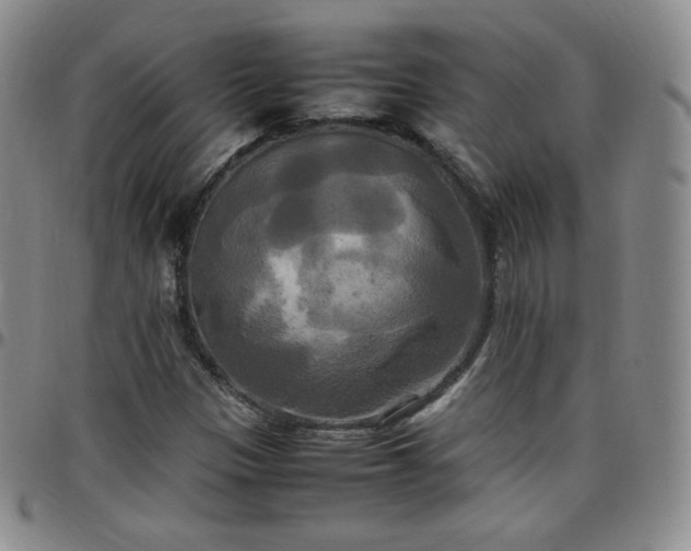 X0000099231305200805011128