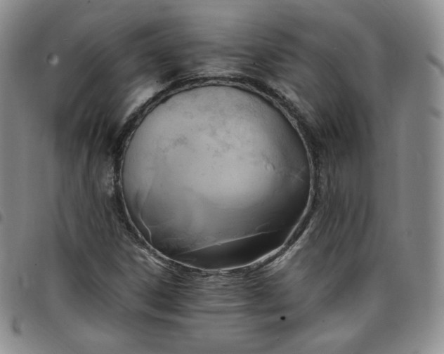 X0000099231306200805011128