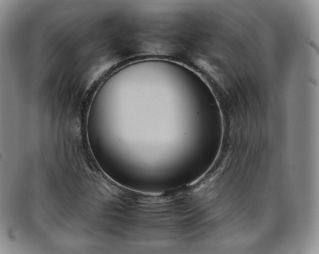 X0000099231307200805011128