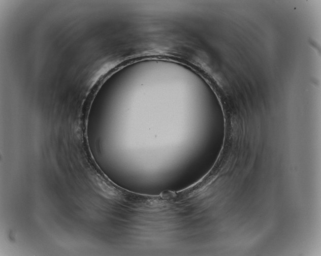 X0000099231308200805011128