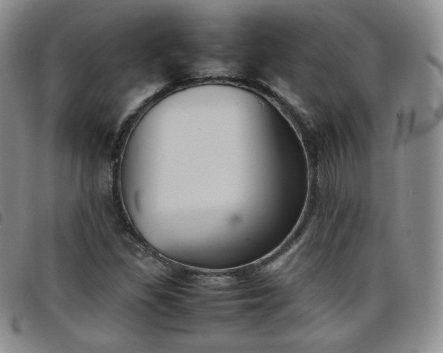 X0000099231309200805011128