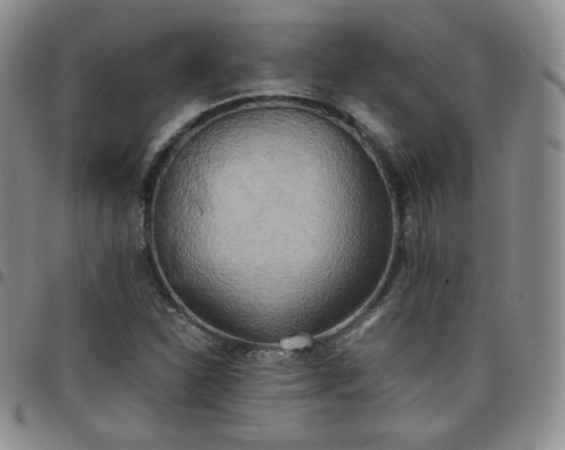 X0000099231310200805011128