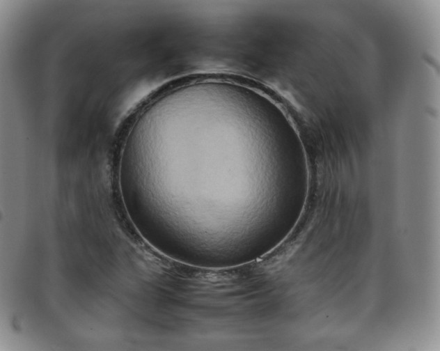 X0000099231311200805011128