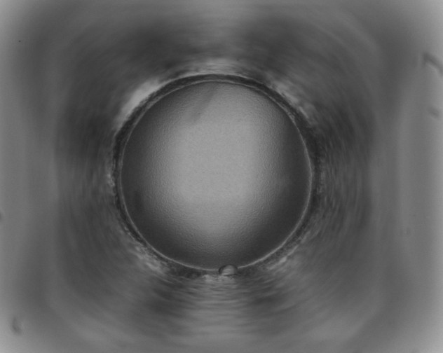 X0000099231312200805011128