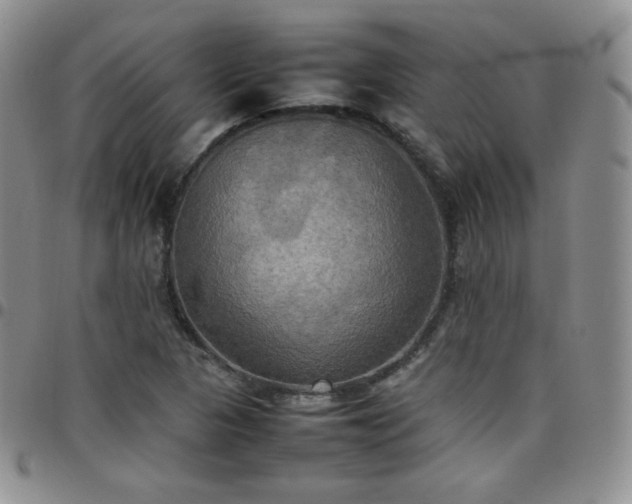 X0000099231313200805011128