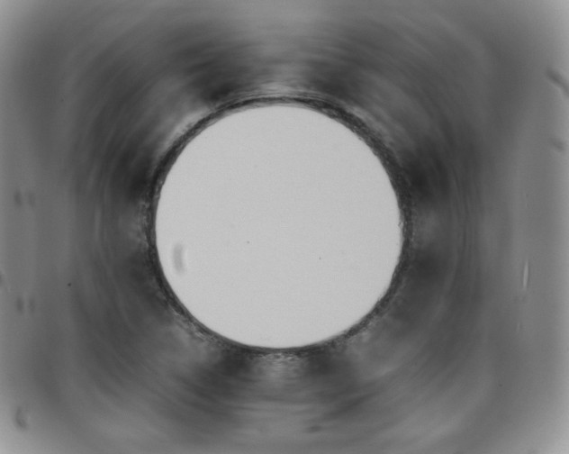 X0000099231314200805011128