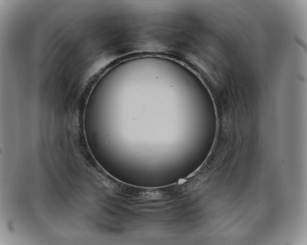 X0000099231315200805011128