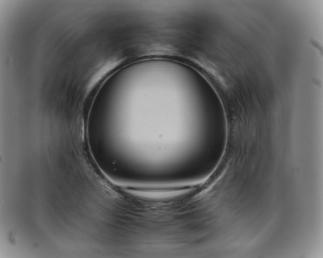 X0000099231317200805011128