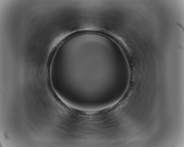 X0000099231319200805011128