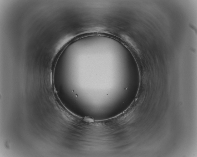 X0000099231320200805011128