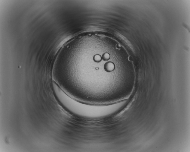 X0000099231321200805011128