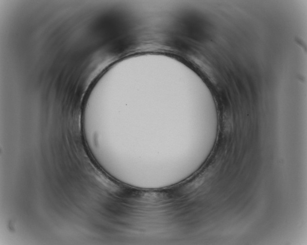 X0000099231322200805011128