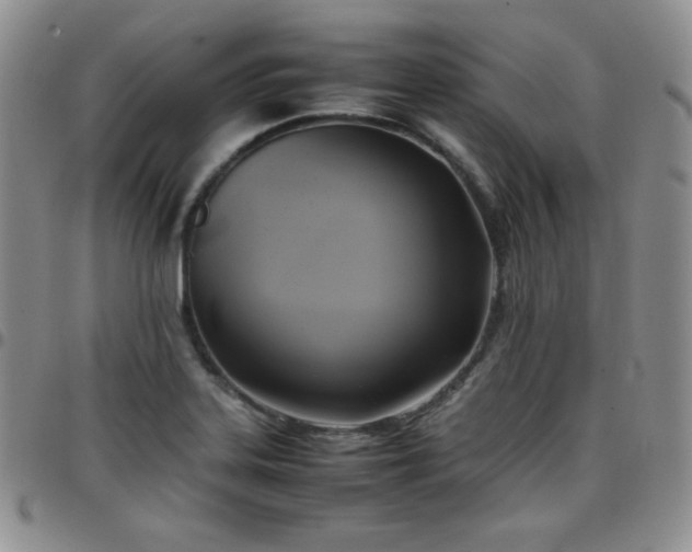 X0000099231323200805011128