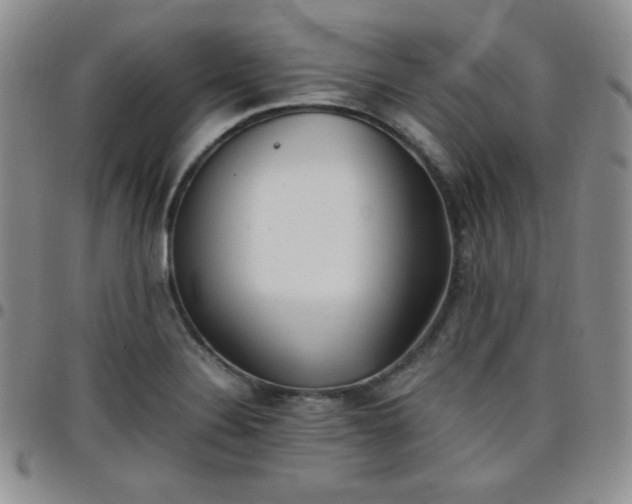 X0000099231324200805011128