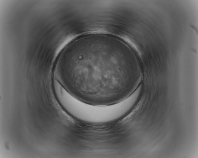 X0000099231325200805011128