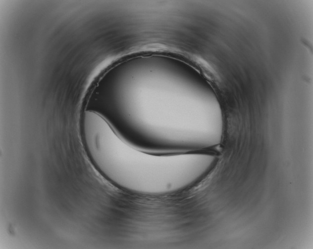 X0000099231326200805011128