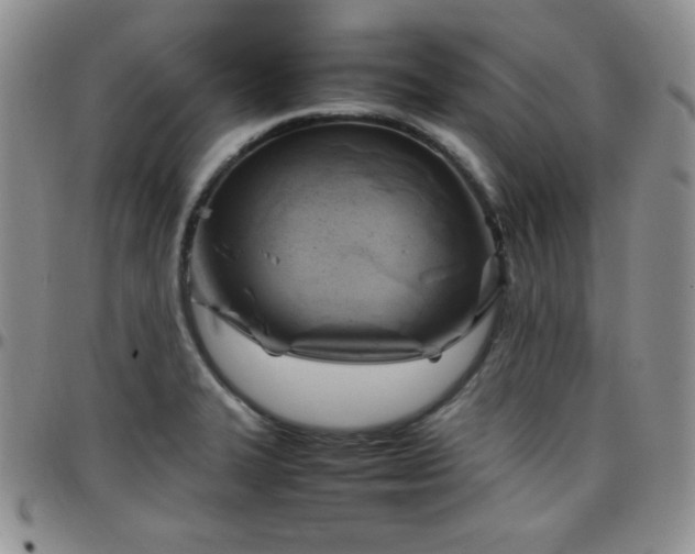 X0000099231327200805011128