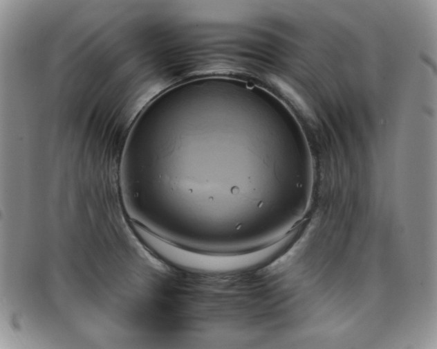 X0000099231329200805011128