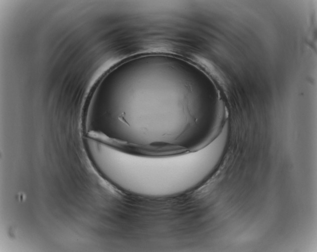 X0000099231331200805011128