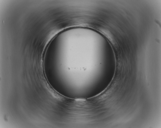 X0000099231332200805011128