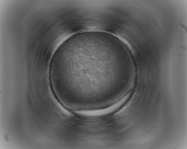 X0000099231333200805011128