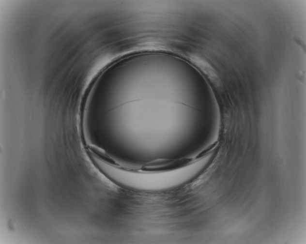 X0000099231334200805011128