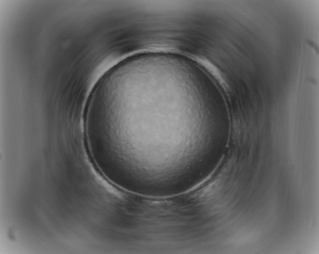 X0000099231335200805011128