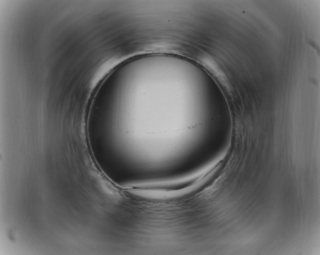 X0000099231336200805011128