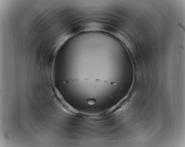 X0000099231337200805011128