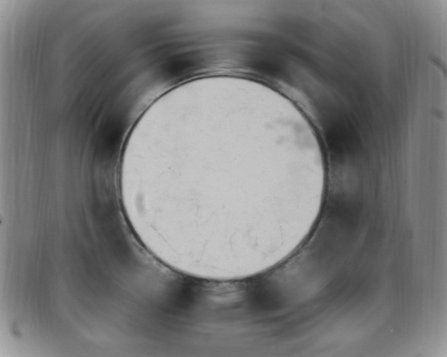 X0000099231338200805011128