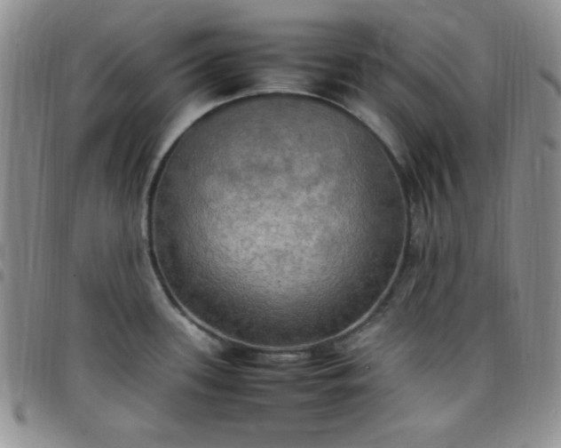 X0000099231339200805011129