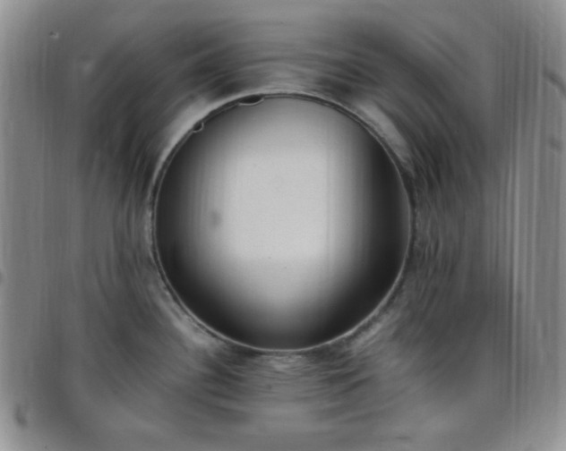 X0000099231340200805011129