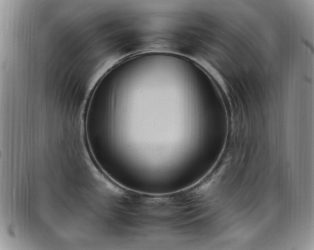 X0000099231341200805011129